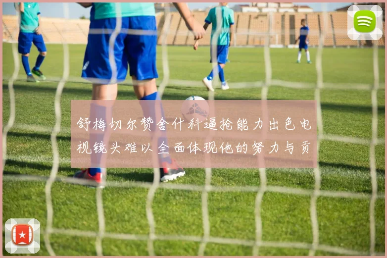 舒梅切尔赞舍什科逼抢能力出色电视镜头难以全面体现他的努力与贡献
